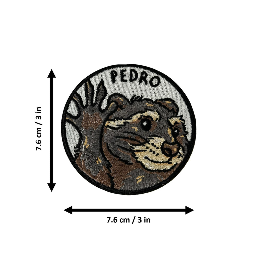 Pedro morale patch measurements